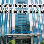 Các đầu số tài khoản của ngân hàng Sacombank hiện nay là số nào?
