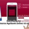 Cách đăng ký E Commerce Agribank online, phí và sử dụng 2023