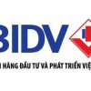 Biểu tượng và ý nghĩa logo của ngân hàng BIDV 2024