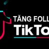 Cách tăng Follow TikTok Free nhanh nhất, 100% Follow thật 2024
