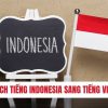 TOP Phần Mềm, App, Web Dịch Tiếng Indonesia sang Tiếng Việt hay nhất 2024