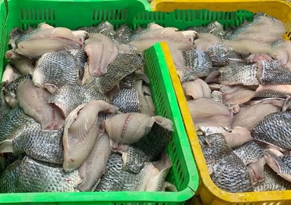 Giá cá rô phi tại chợ đầu mối 