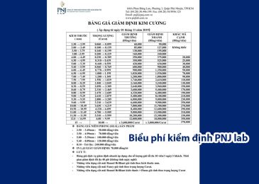 Phí kiểm định kim cương PNJ, GIA ở TPHCM 2024