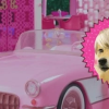 Shibie Token: Meme coin độc đáo kết hợp Shiba Inu và Barbie ra mắt đợt bán trước giới hạn, triển vọng cho nhà đầu tư?