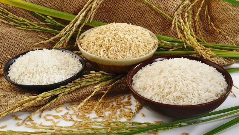 Dự báo giá lúa gạo trong thời gian tới tăng hay giảm 2023